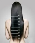 Frequently Asked Questions Long hair styles, Hair length cha