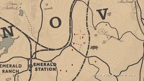 Black Currant Locations Rdr2 Dini Fruit All in one Photos