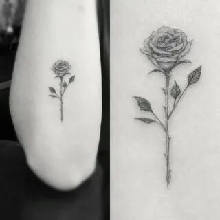 Pin by Melinda Acosta on Tattoos Yellow rose tattoos, Celebr