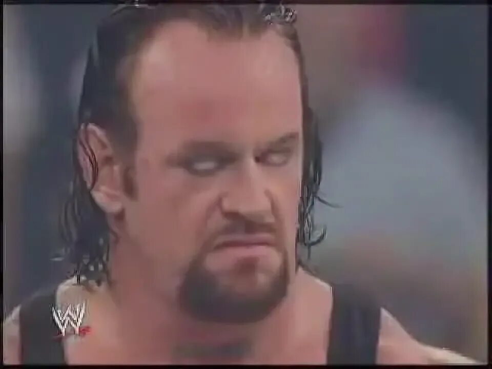 25 The Undertaker Is Back Booker T Is Next - YouTube