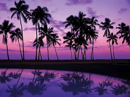 Purple Sunset Hawaii Beach Wallpapers - 4k, HD Purple Sunset