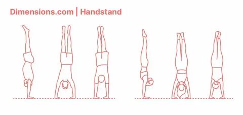 Handstand (Adho Mukha Svanasana) Handstand, Crane pose, Plan