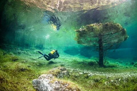 Pair of black flippers, water, underwater, lake, Green Lake 