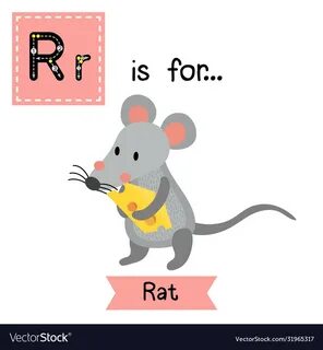 Letter r tracing rat holding cheese Royalty Free Vector