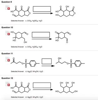 Solved CHOOSE ONLY ONE ANSWER FOR EACH Complete the Chegg.co