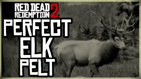 HOW TO GET A PERFECT ELK PELT - RED DEAD REDEMPTION 2 PRISTI