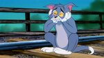 Create meme "sad Tom from Tom and Jerry, Tom and Jerry , tom