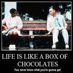 Life Is Like a Box of Chocolates archivos " El Efecto Mandel