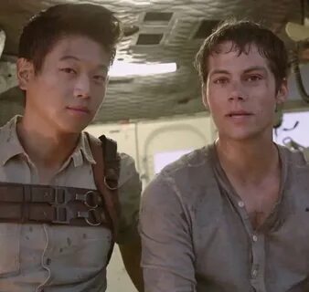 Pin by katie hsiao on Dylan Maze runner trilogy, Maze runner