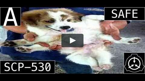SCP-530 Carl the Variable Dog Safe on Vimeo