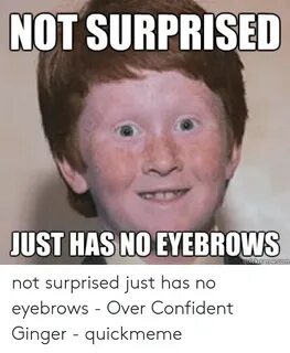 NOT SURPRISED JUST HAS NO EYEBROWS Quickmemecom Not Surprise