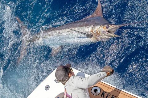 Heavy Tackle Blue Marlin Fishing - KEKOA Sports Fishing Char