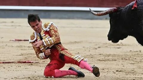 Death fight in Arena: one to zero for the bull - Serbian Ani