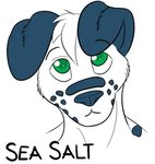 Sea Salt - Weasyl