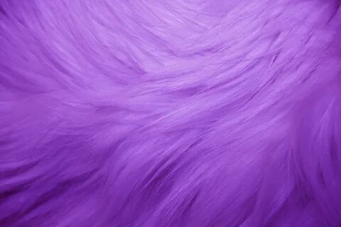 Purple Fur Purple Fur Texture - Free High Resolution Photo -