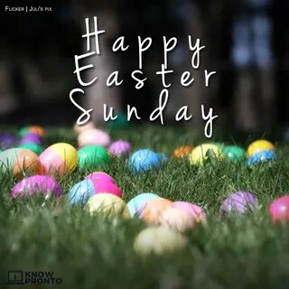 Quotes about Easter holiday (24 quotes)