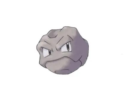 Pokemon Calvo Todo Dia בטוויטר: "77 pokemon calvo(Geodude N 