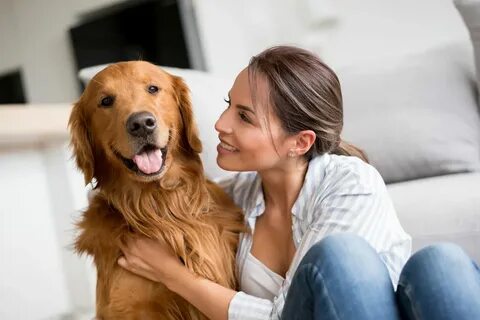 8 Signs of a Loyal Dog that You Should Know - Animal Lova