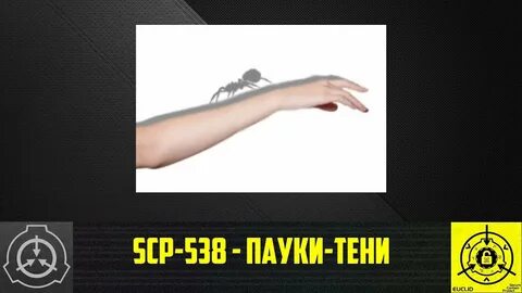 SCP-538 - Пауки-тени (СТАРАЯ ОЗВУЧКА) - YouTube