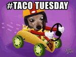 The Windmill Tavern - Taco Tuesday Facebook