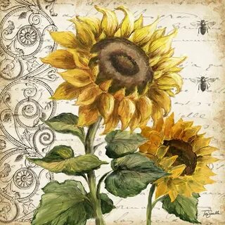 Tre Sorelle's Art Licensing Program Sunflower art, Flower ar