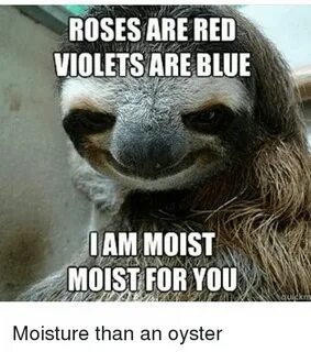 ROSES ARE RED VIOLETS ARE BLUE I AM MOIST MOIST FOR YOU Uldk
