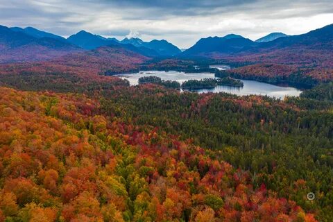 Fall is at its peak in Upstate NY. Presenting Adirondack mou