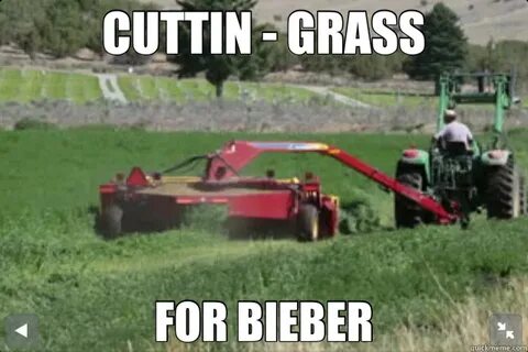 funny grass cutting - Besko