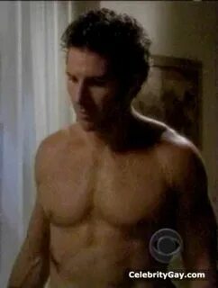 Free Ed Quinn Naked The Celebrity Daily