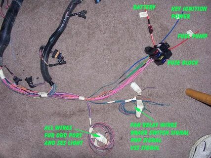 Lt1 Wiring Harness Painless / Wiring Harnes Lt1 Automatic - 