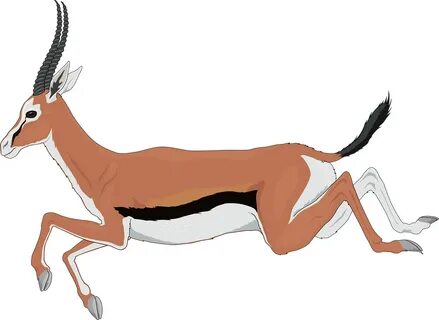 Impala Animal Clip Art Related Keywords & Suggestions - Impa