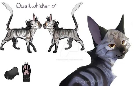 Warrior Cats Drawing Reference Related Keywords & Suggestion