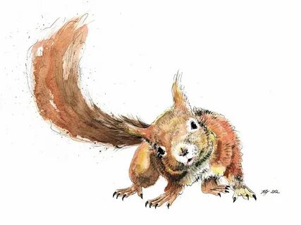 /squirrel+watercolor