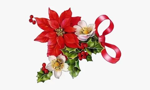 Poinsettia Clip Art And - Christmas Poinsettia Clipart, HD P