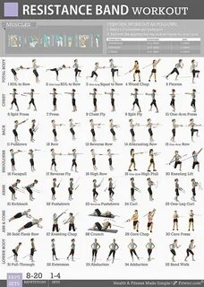 Fitwirr's 5 Workout Posters Pack 19X27: Dumbbell Exercises, 