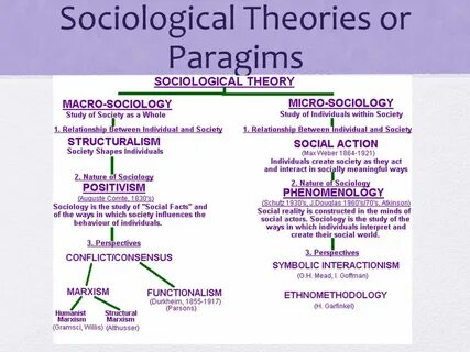 Introduction to SOCIOLOGY - ppt video online download