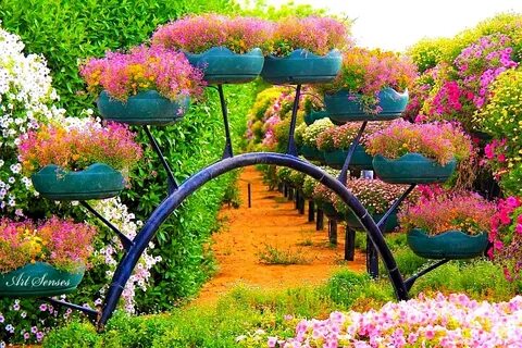 Al Ain Paradise Gardens Art senses - artistic ideas for inte