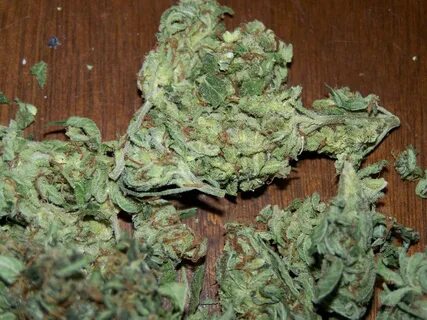 My Choice Of Top 3 Haze Types Of Weed Strains Cannabis Weed 