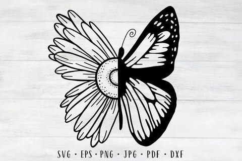 Free 241 Sunflower Butterfly Svg Free SVG PNG EPS DXF File