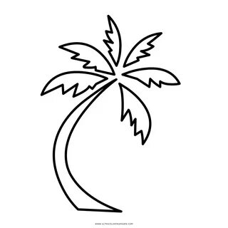 Palmera Colorear Coloring Dibujo Tree Coconut Normal Sketch 