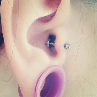 Pretty Ear Piercings Tumblr