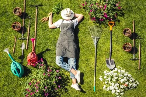 Five reasons why gardening is great for your health