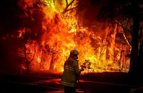 Australia's most populous state declares wildfire state of e