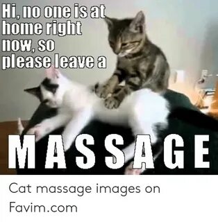 Hi No One Is at Home Right Now SO Please Leave a MASSAGE Cat