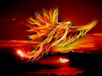 The Flight of the Phoenix. (Let's rise from the ashes togeth