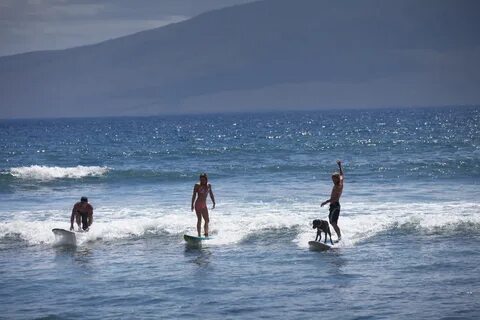 Surfing in Honolii Beach Hilo Hawaii USA