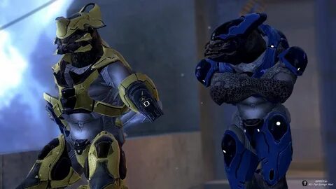 Halo 4 Elite Ragdoll