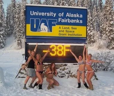 How cold does it get in Alaska? - 5Series.net - Forums