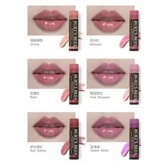 Pin by Hà My Nguyễn on Swatch Lipstick Burts bees tinted lip