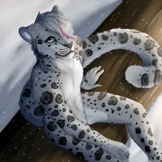 Furry Snow Leopard истории из жизни советы новости юм - Mobi